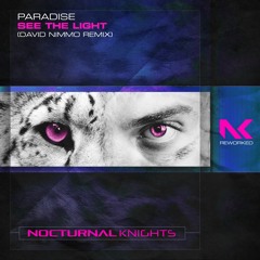 Paradise - See The Light (David Nimmo Remix) TEASER