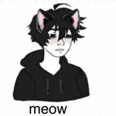 cat boys are ruining my life