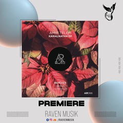 Amir Telem -Kamalnatha EP [Aftertech] | Sandeep &  Cosmosolar Remixes