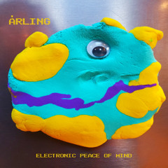 Electronic Peace Of Mind