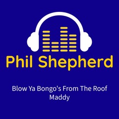 Blow Ya Bongo's From The Roof Maddy (Phil Shepherd Mashup)