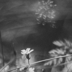 Maanefrost - Svarte Makter New Mix