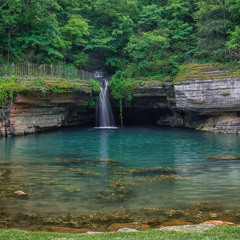 Honest x Nuts Ledger Mix