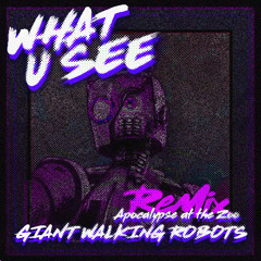 What U See (Apocalypse at the Zoo Remix)