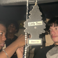 on the ground prod. dyrem