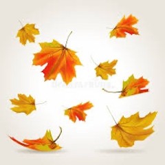 Falling Leaves