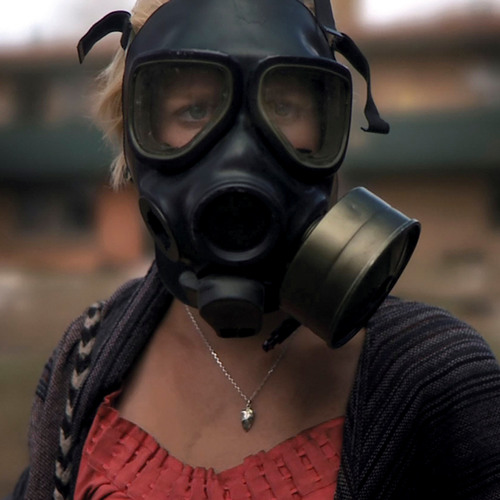 Study | Focus | Concentrate