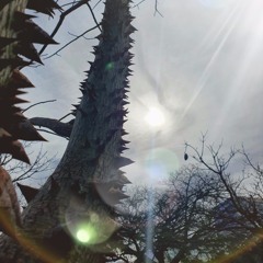 Gotika