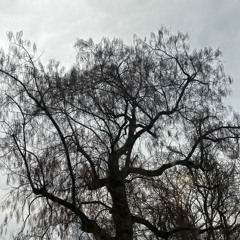 dieburg_field_report