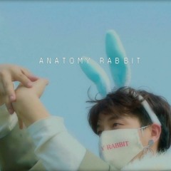 ANATOMY RABBIT - อย่าไปไหนเลย