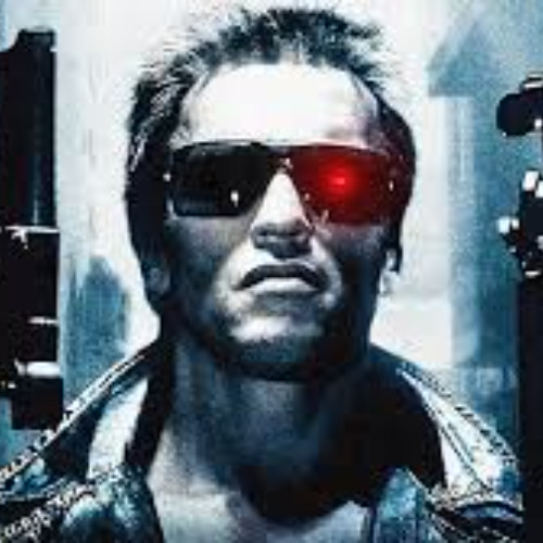 THC (TERMINATOR HARDCORE)