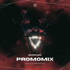 QVALLE & SNARECROW - PROMOMIX 2024