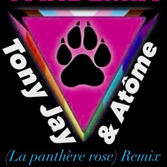 La Panthère Rose Pandemix ( Remix Tony Jay & Atôme )