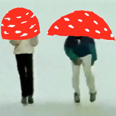 Fliegenpilz