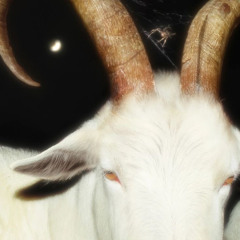 wanna be the G.O.A.T