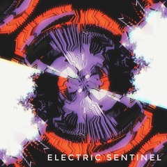 Electric Sentinel