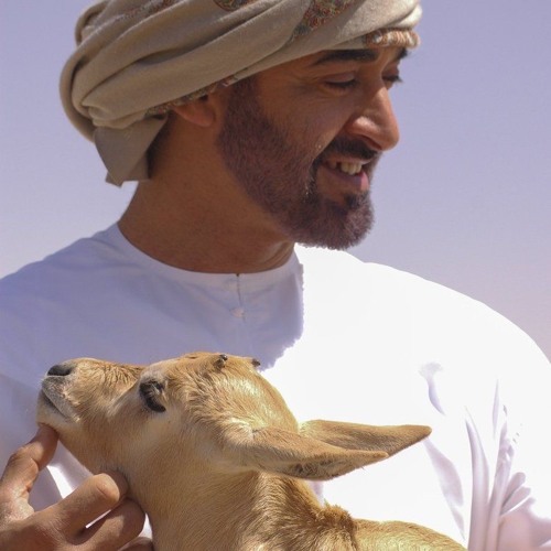 RSA - يامخطر الظبي