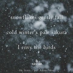 haiku #378: snowflakes gently fall / cold winter’s pale sakura / I envy the birds