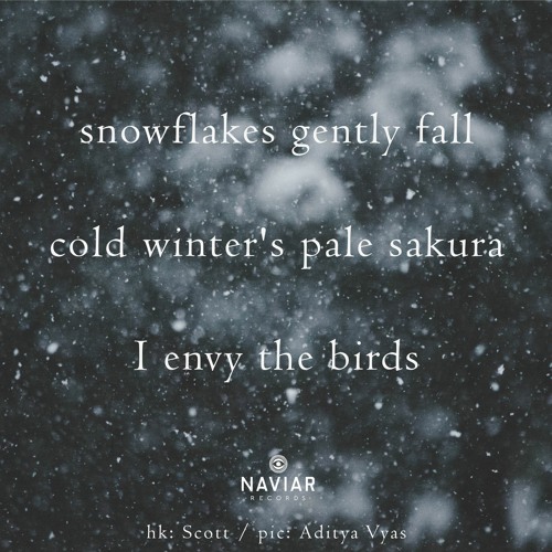 haiku #378: snowflakes gently fall / cold winter’s pale sakura / I envy the birds