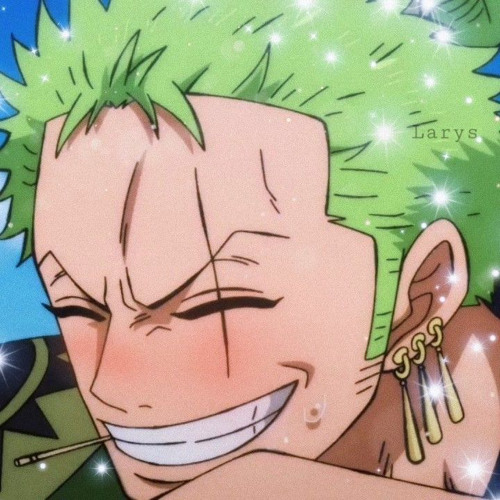 we did it! one piece (*^▽^*)