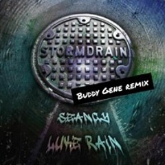 Storm Drain - Luke Rain & Seancy (Buddy Gene Remix)