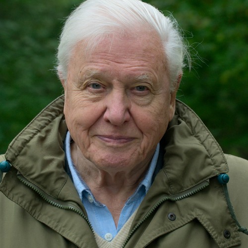 DAVID ATTENBOROUGH GOES ON A BENDER PT.5