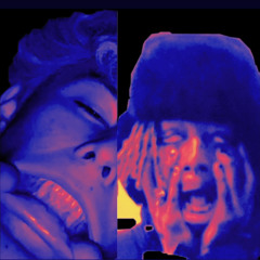 INS4NITY (ft.1freedamian