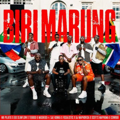 Mr Pilato, Ego Slimflow & Tebogo G Mashego - Biri Marung ft DJ Maphorisa,Focalistic & Scotts Maphuma