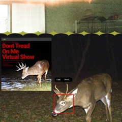 Amtinex @ WEBPUNKS || DIAMOND PRESENTS: DONT TREAD ON ME