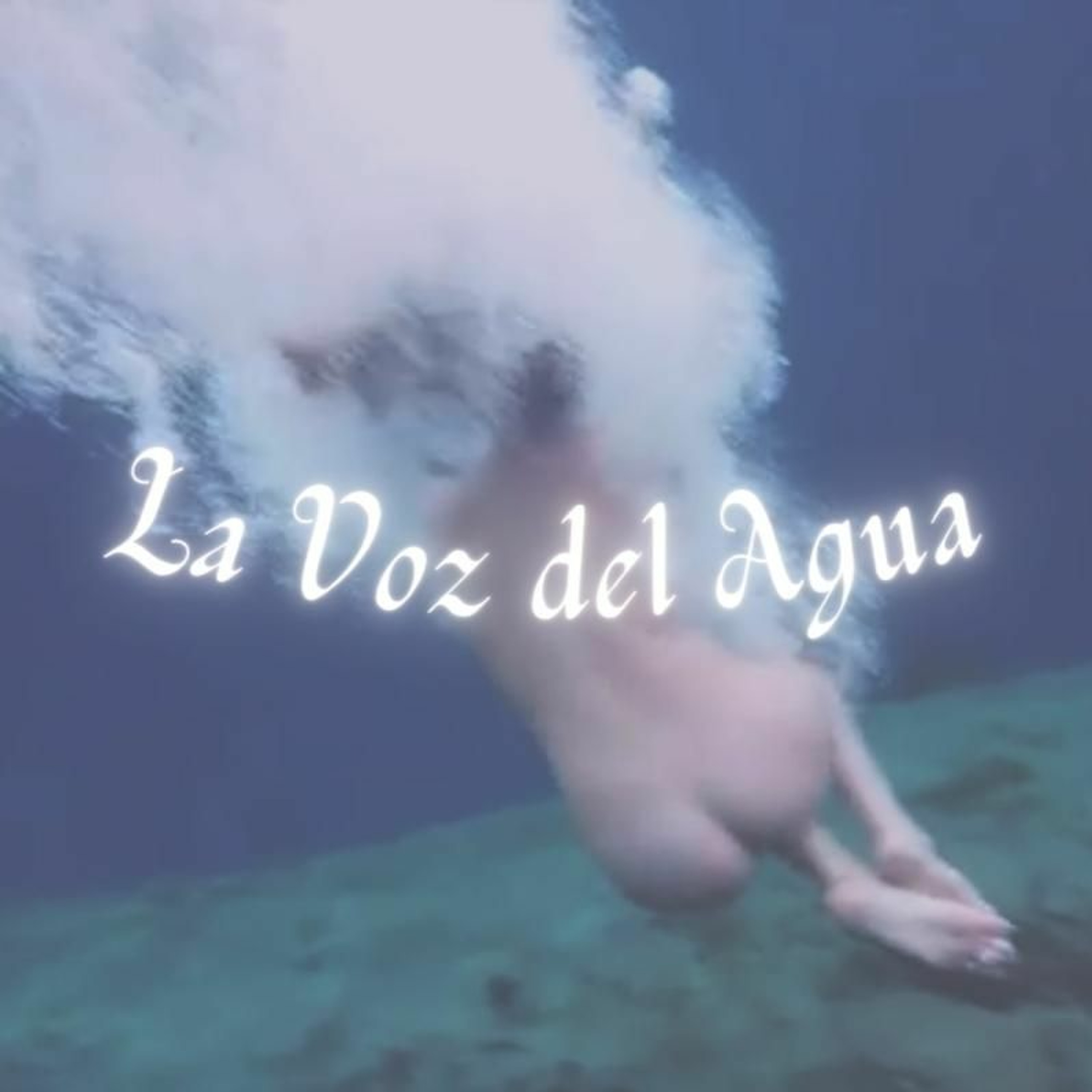 La Voz del Pueblo