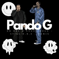 Dr Dre & Snoop Dogg - Still D.R.E - Pando G Remix