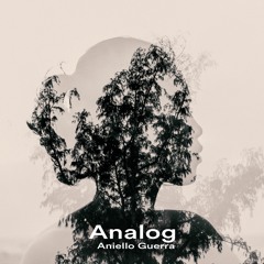 Analog -Aniello Guerra