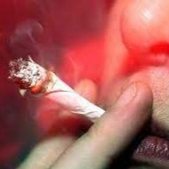 Kippen Stopfer Mukke (Onepattern)