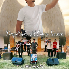 Me Gusto Vivir La Vida (feat. Hedrey Flores, Plebada SR & Jovanny Valencia)