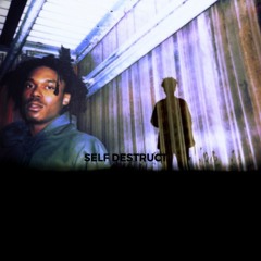 Lucki - Self Destruct