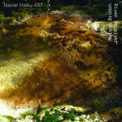 Nelson Brodon - River Receiver (NaviarHaiku 437)