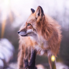 Ambivalence (Original Mix)