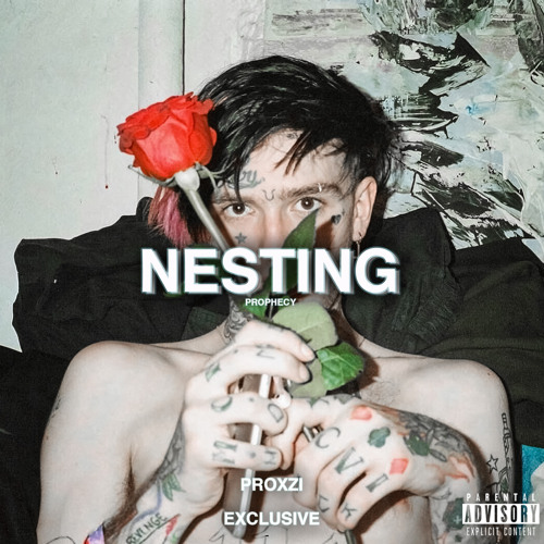 nesting (feat. MPPO & awp)
