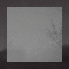 Snowfall