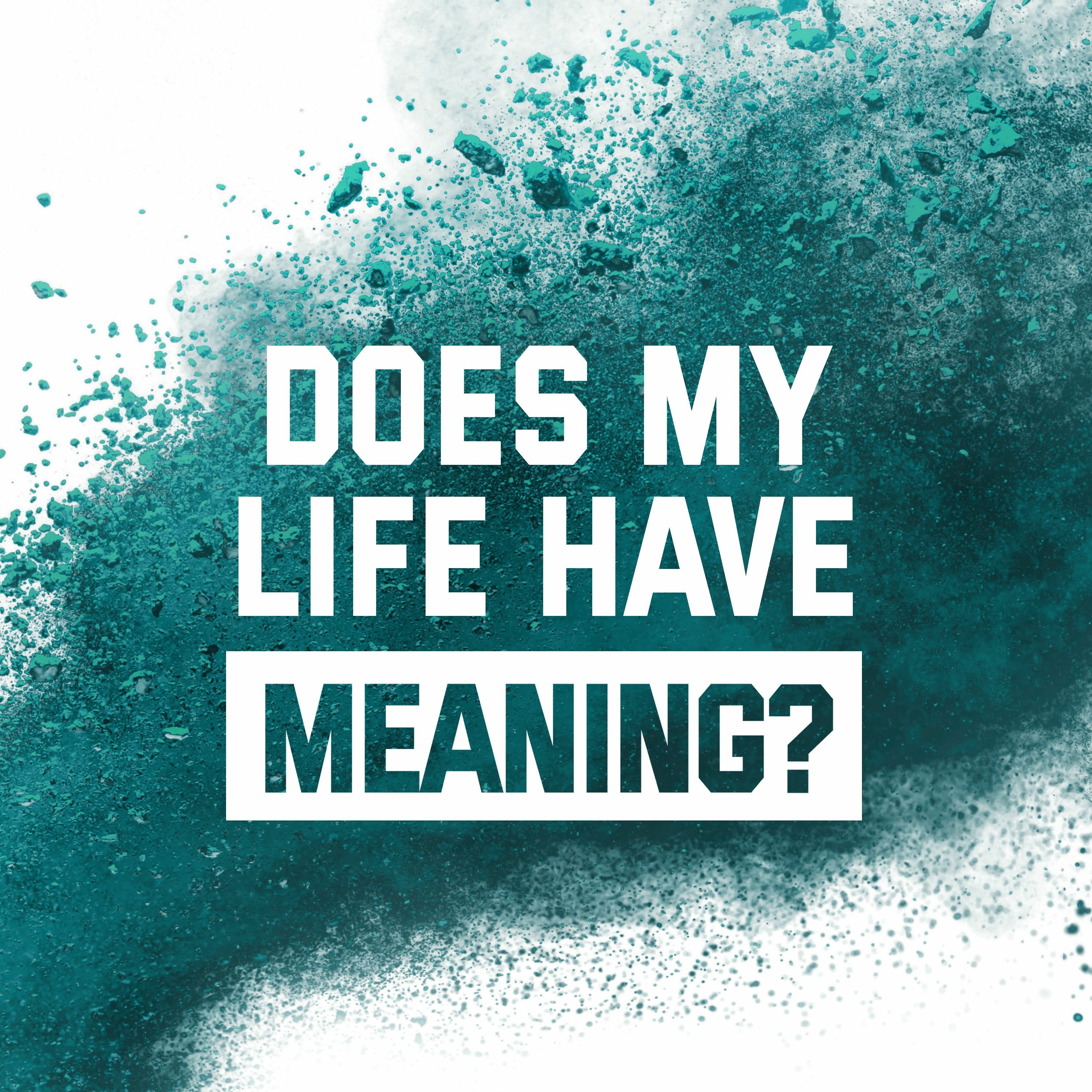Does My Life Have Meaning? episode artwork