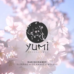 Dan Guidance - Sleeping Wide Awake [Release date: 26/07/2024]