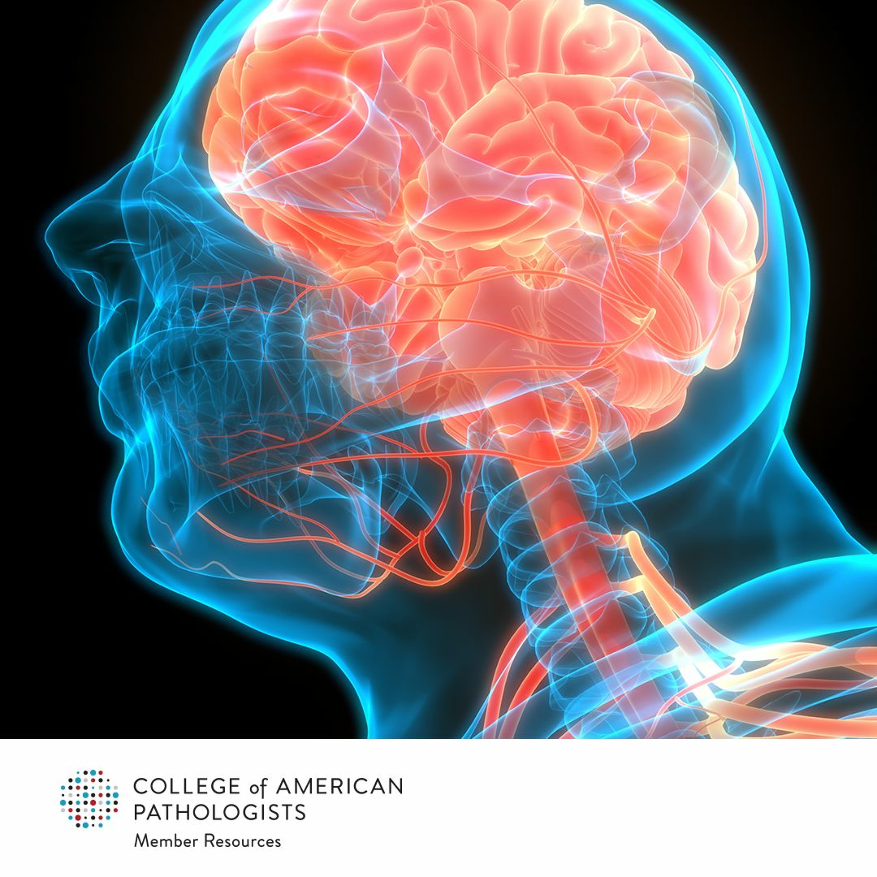 Head and Neck Cancers - What To Know about 9 Cancer Protocols episode artwork