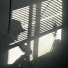 repituar  - Roman Barks