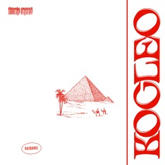 Kocleo - Timely Report