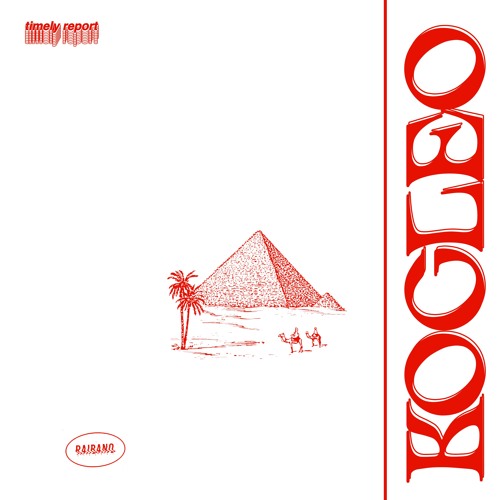 Kocleo - Timely Report