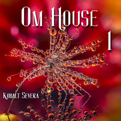 Om House 1