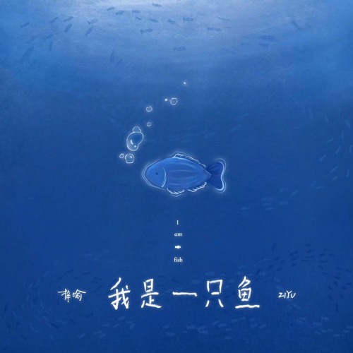 I am a fish - Ziyu 《我是一只鱼·梓渝》 Tôi là một chú cá - Tử Du