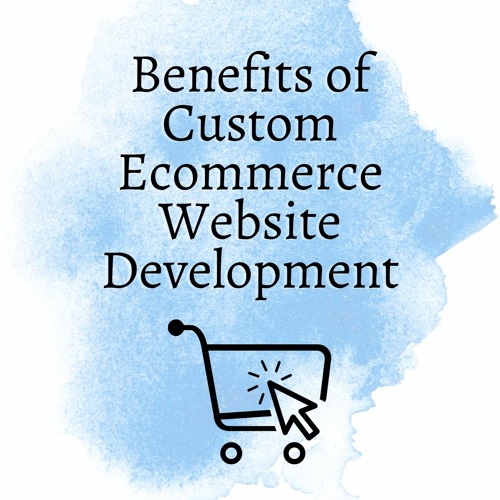 Benefits Of Having Custom Ecommerce Website Development