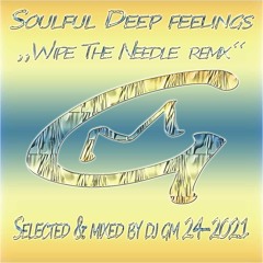 Soulful Deep Fellings 24 (Wipe The Needle Remix) 2021 DJ GM