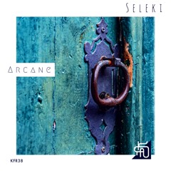 Seleki - The Message In A Bottle (Original Mix)